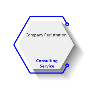 Company Registration