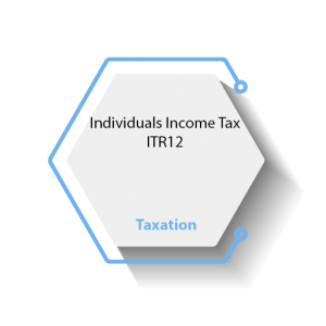 Individuals Income Tax – ITR12