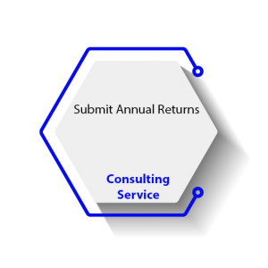 Submit Annual Returns