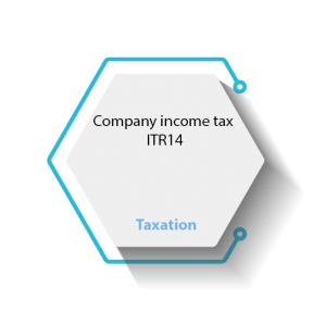 Company Income Tax – ITR14